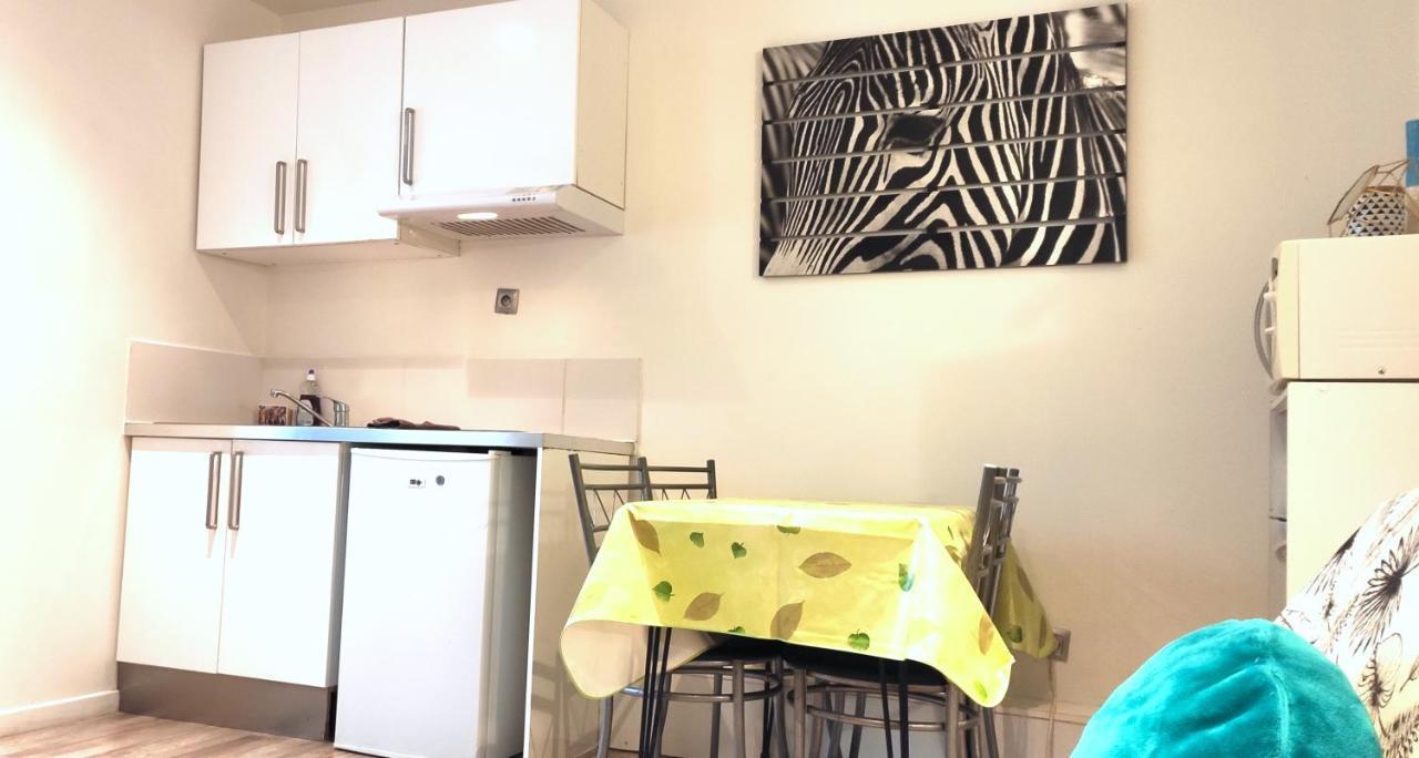 Grand Studio Cahors Centre Rdc Proche Gare Pont Valentre Apartment Exterior foto